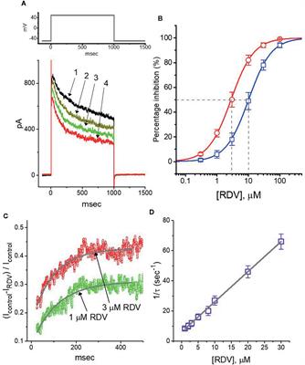 Evidence for the Effectiveness of Remdesivir (GS-5734), a Nucleoside-Analog Antiviral Drug in the Inhibition of IK(M) or IK(DR) and in the Stimulation of IMEP